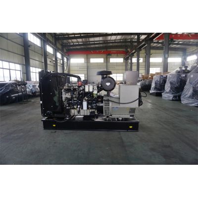 200kw珀金斯柴油發(fā)電機(jī)組-珀金斯6缸柴油機(jī)1306A-E87TAG6柴油發(fā)電機(jī)組,缸徑/行程：116.6/135.9mm,柴油發(fā)電機(jī)組水冷發(fā)動機(jī)功率239KW,柴油發(fā)電機(jī)組配套馬拉松斯坦福發(fā)電機(jī)。廠價直銷歡迎選購：13773399855。